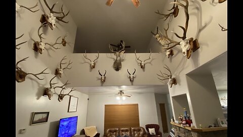 Paint color survey. Which color?