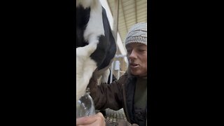 Farming in arctic Florida 🥶