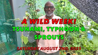 A Wild Week! Tsunami, Typhoon & Sprouts