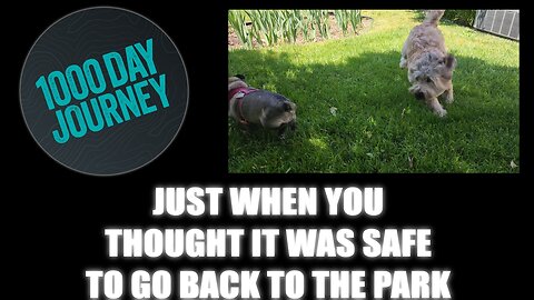 1000 Day Journey 0650 Just when you thought it was Safe to go back to the Park