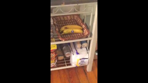 This poor banana I stole from his brother...