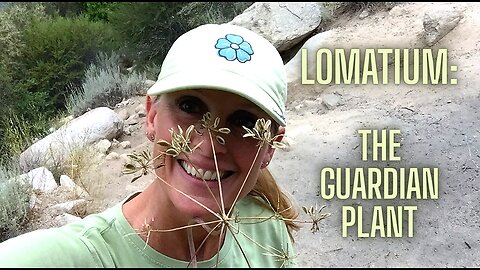 The Magical Power of Lomatium