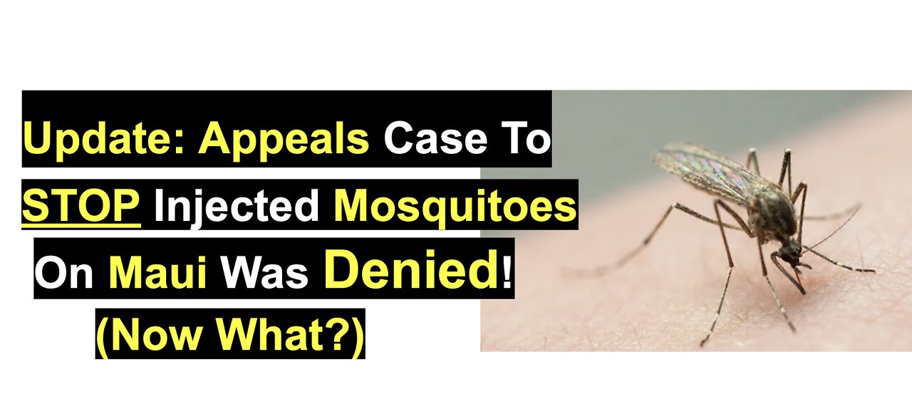 Maui Mosquito Appeals Case with Hawaii Unites Was Denied!