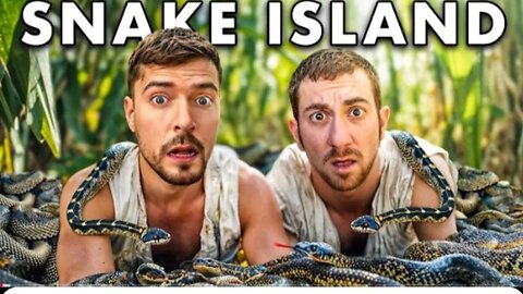 Snake 🐍 island