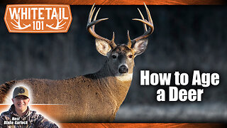 Learn How to Easily Age a Deer