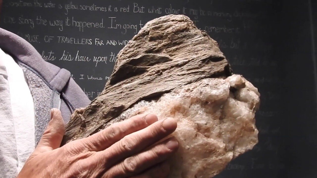 The original forest on flat earth part 25, update