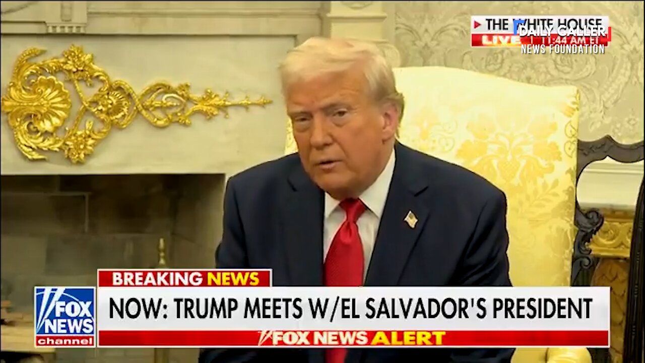 Trump Criticizes CNN for Not Reporting on Progress at the Border