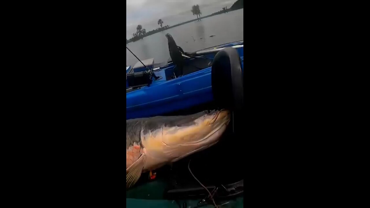 Big Fish
