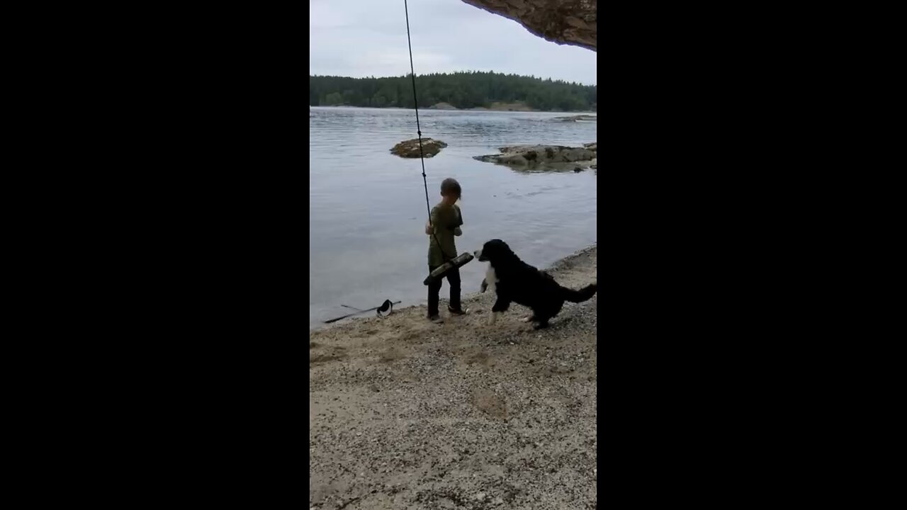 No swing for you young man!