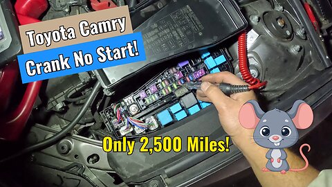 2022 Toyota Camry - Crank No Start! Diag & Repair!