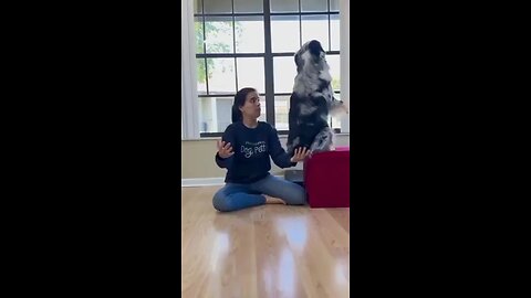 When you and your dog are best friends.