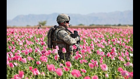 Nick Fuentes - The Afghanistan Papers