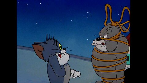 Tom and Jerry Night Music 😂