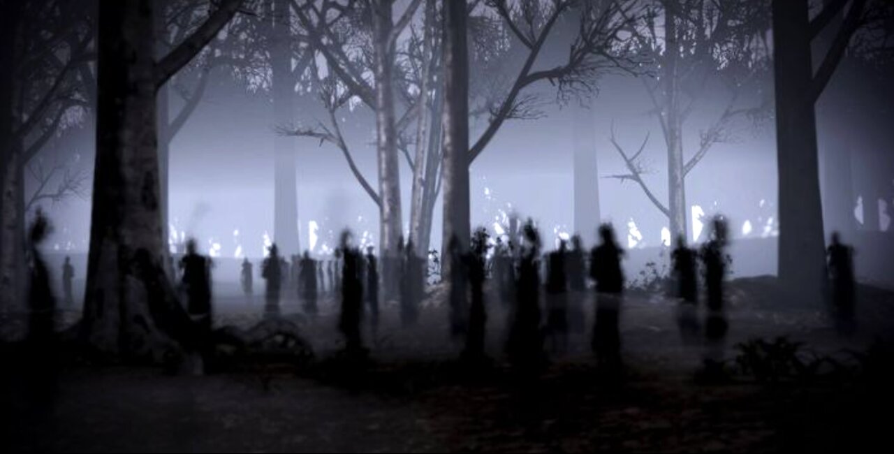 AFTERLIFE ACCESS-THE HIDDEN LANGUAGE OF SPIRIT GUIDES-GHOSTS-SHADOW BEINGS