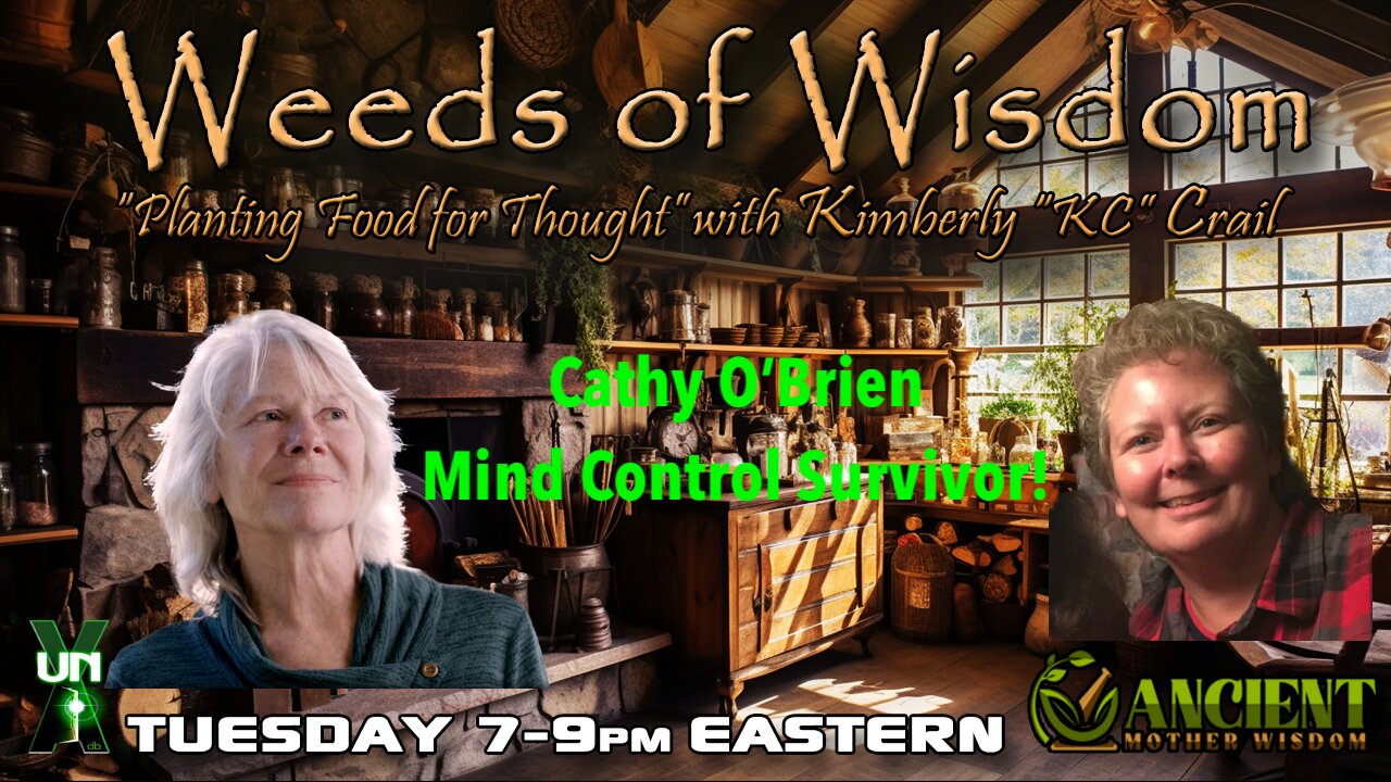 Cathy O'Brien - MK Ultra Whistleblower