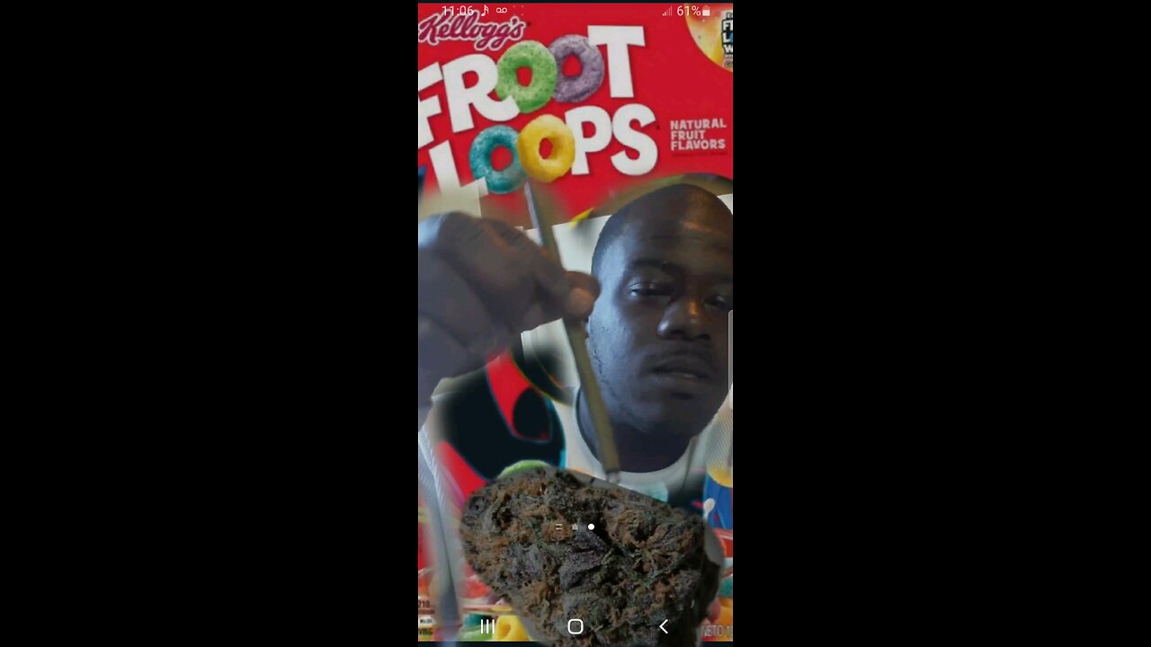 Melgunz Da Realist - Fruit Loops Freestyle 2024