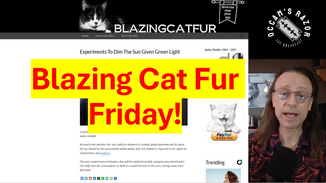 Blazing Cat Fur Friday