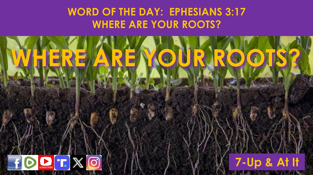 WORD OF THE DAY: EPHESIANS 3:17 - WHERE ARE YOUR ROOTS?