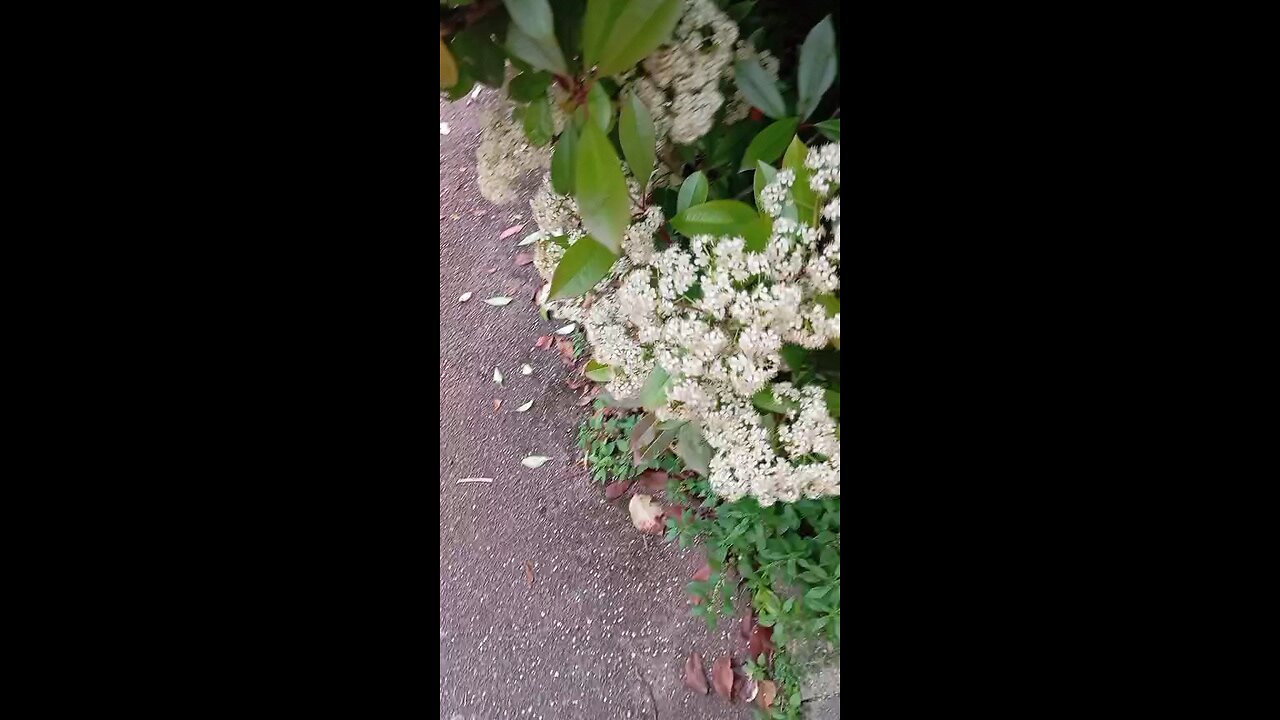 A heartwarming scene from France