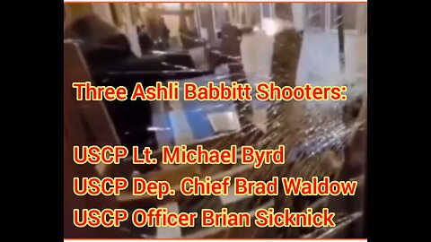 The 3 Ashli Babbitt Shooters: USCP Lt. Michael Byrd, Dep. Chief Brad Waldow & Officer Brian Sicknick