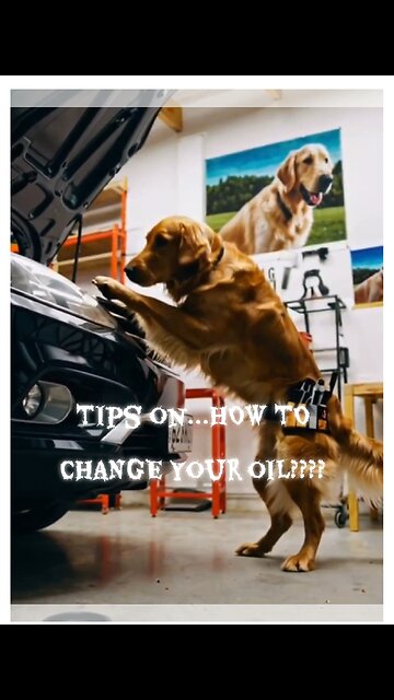 A hursty's garage dog turd production on how to change your oil