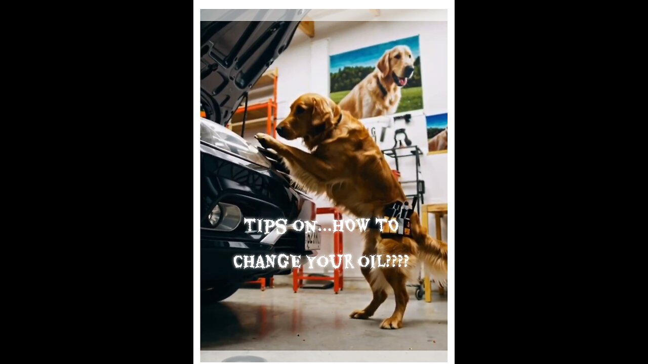 A hursty's garage dog turd production on how to change your oil