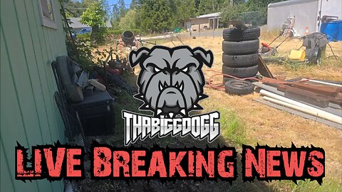 LIVE Breaking News | DOA QUITS | MINDY VISITS JAPAN | WILLIAM GUDE MISSING? | #Live #Breaking #News