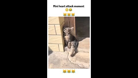 mini heart attack moment 🤣😂😹