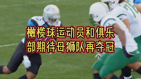 橄榄球运动员和俱乐部期待母狮队再次夺冠