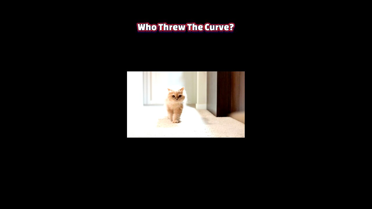 Catchy YouTube Title: 5 Signs Your Cat Thinks It’s Royalty (And You’re Its Servant!)