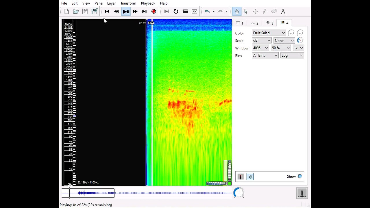 Sasquatch Sustained Singing and Barks