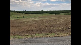 Autumn Harvest 2025 - What we must do!