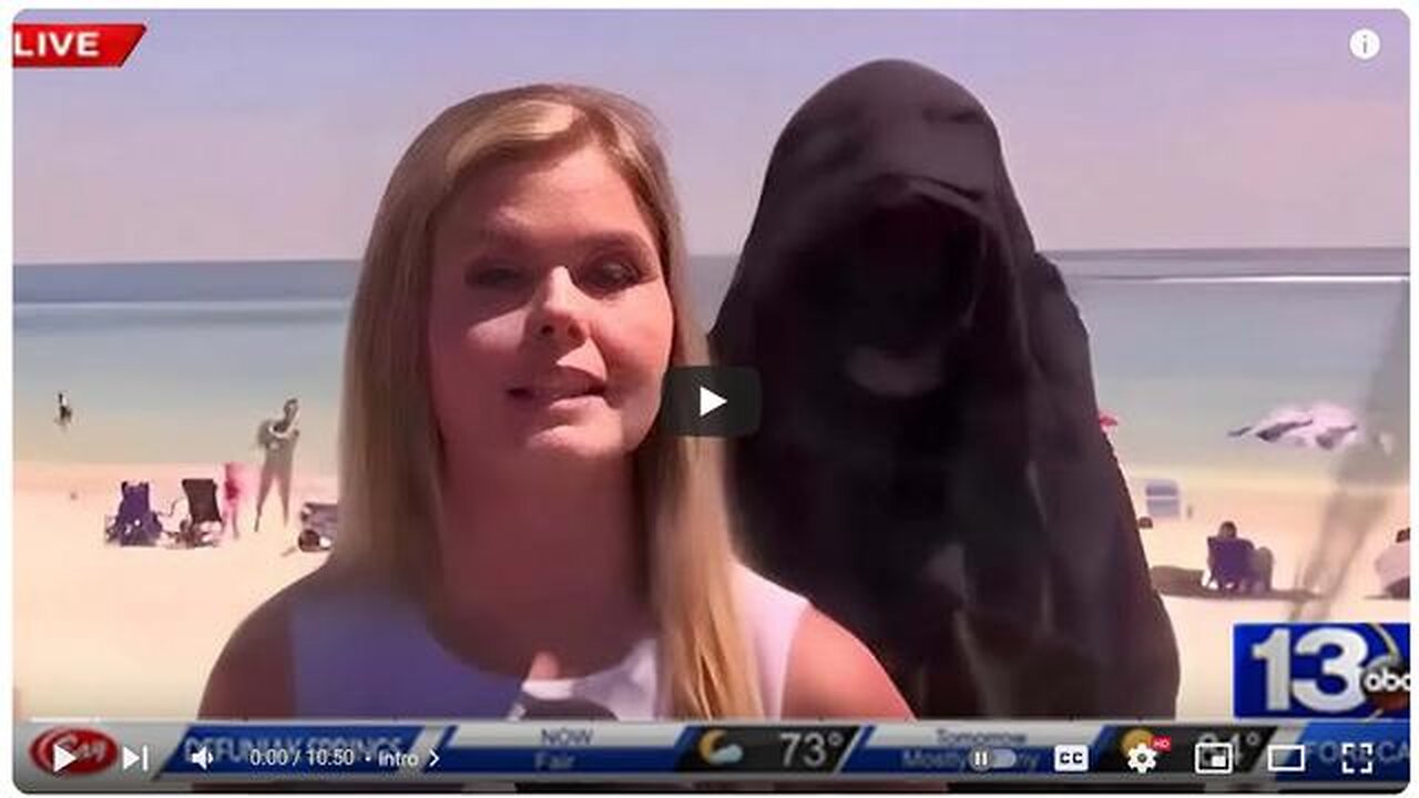 MOMENTS ON LIVE TV 📺 THAT SCIENTISTS CANNOT EXPLAIN❗