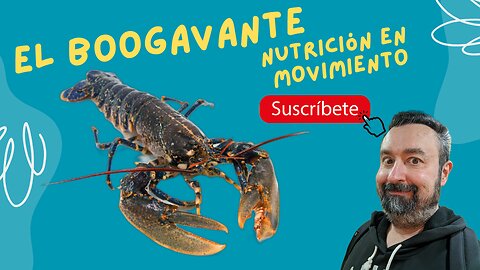 🧠 Bogavante: El Marisco que Sorprende a los Nutricionistas 🦞✅