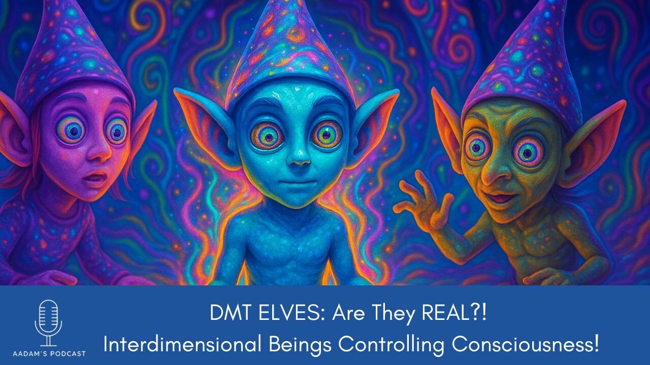 DMT ELVES: Are They REAL?! Interdimensional Beings Controlling Consciousness | Podcast-208