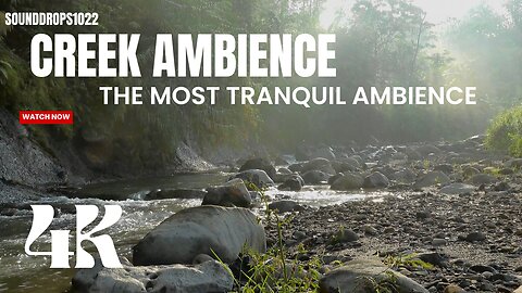30 Minutes Creek Ambience : The Most Tranquil Ambience