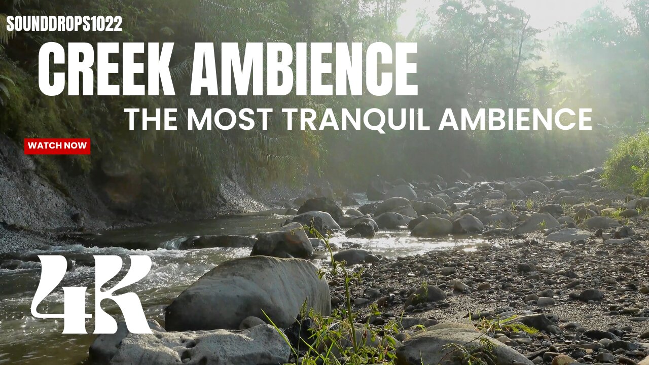 30 Minutes Creek Ambience : The Most Tranquil Ambience
