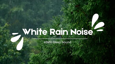 White Rain Noise | 4K Relaxation ASMR & Rain Sounds for Sleep, Study & Stress Relief