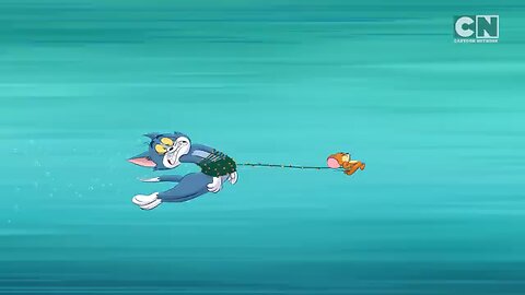 comedy videos 🤣😂 Tom and enjoy 😂🤣