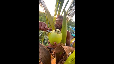 fresh coconut water