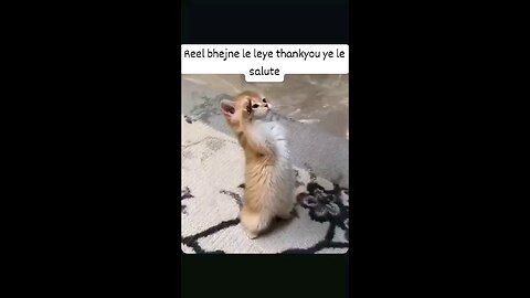 thankyou for sending reel😶#follow #share #likes #comment #viral #viral video #trending #views