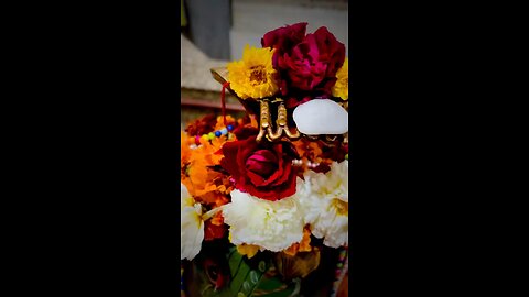 jai shree radhey