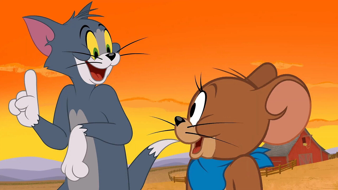 Tom and jerry cartoon