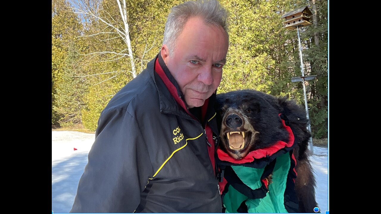 Are you crushing long miles, pushing limits, fueling on a mostly carnivore diet?