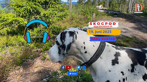 Skogpod 19. juni 2025