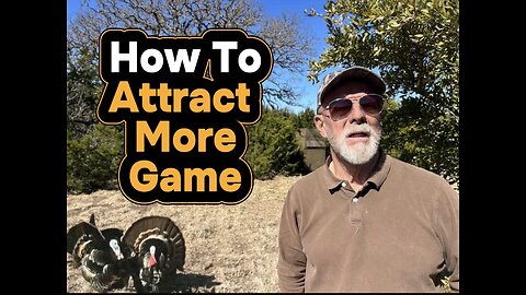 Wild Hogs, Whitetails & Turkey… Try This!