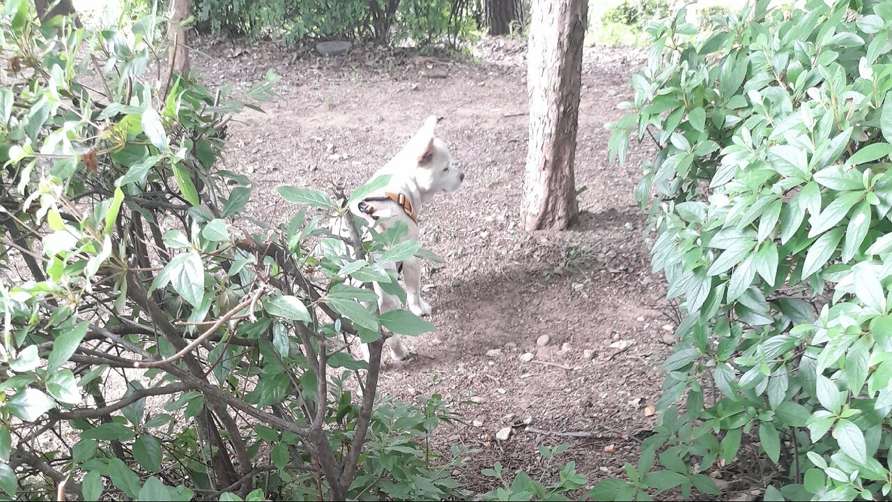 250607. My First Live Test.