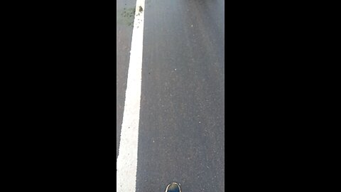 viral