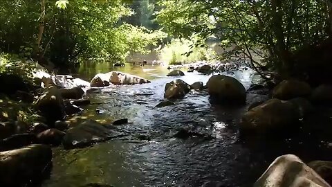 Nature video #samar