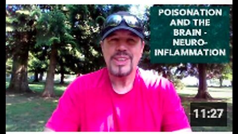 "Neuroinflammation and its Relationship with Poisoning in the Brain"